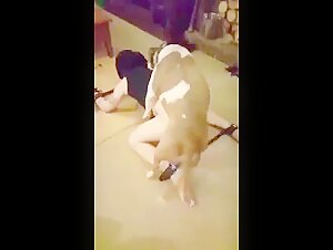 Bound and fucked by a dog