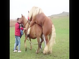 Horse²
