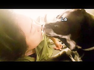 KOREA traditional dog JINDO VS hooman