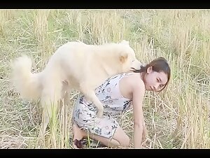 Shy Thai Jerking Dog