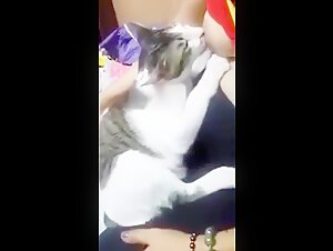 She is nursing cat