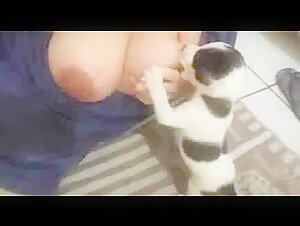 Breastfeeding puppies 2