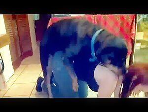 Girl Rides Dog Dick