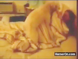 Dogs humping
