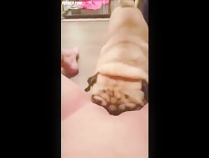 Teen licked to Orgasm by 2 Pugs