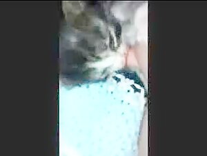 Feeding kitty