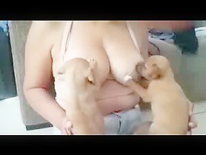 Breastfeeding puppy 16