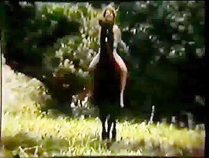 Um homen uma mulher e um cavalo (1888) Film Horse Scenes