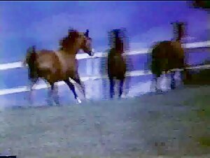 A Menina e o Cavalo (1985) Film Horse Scenes