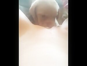 Puppy lick pussy