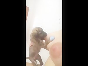 Puppy sucking tits